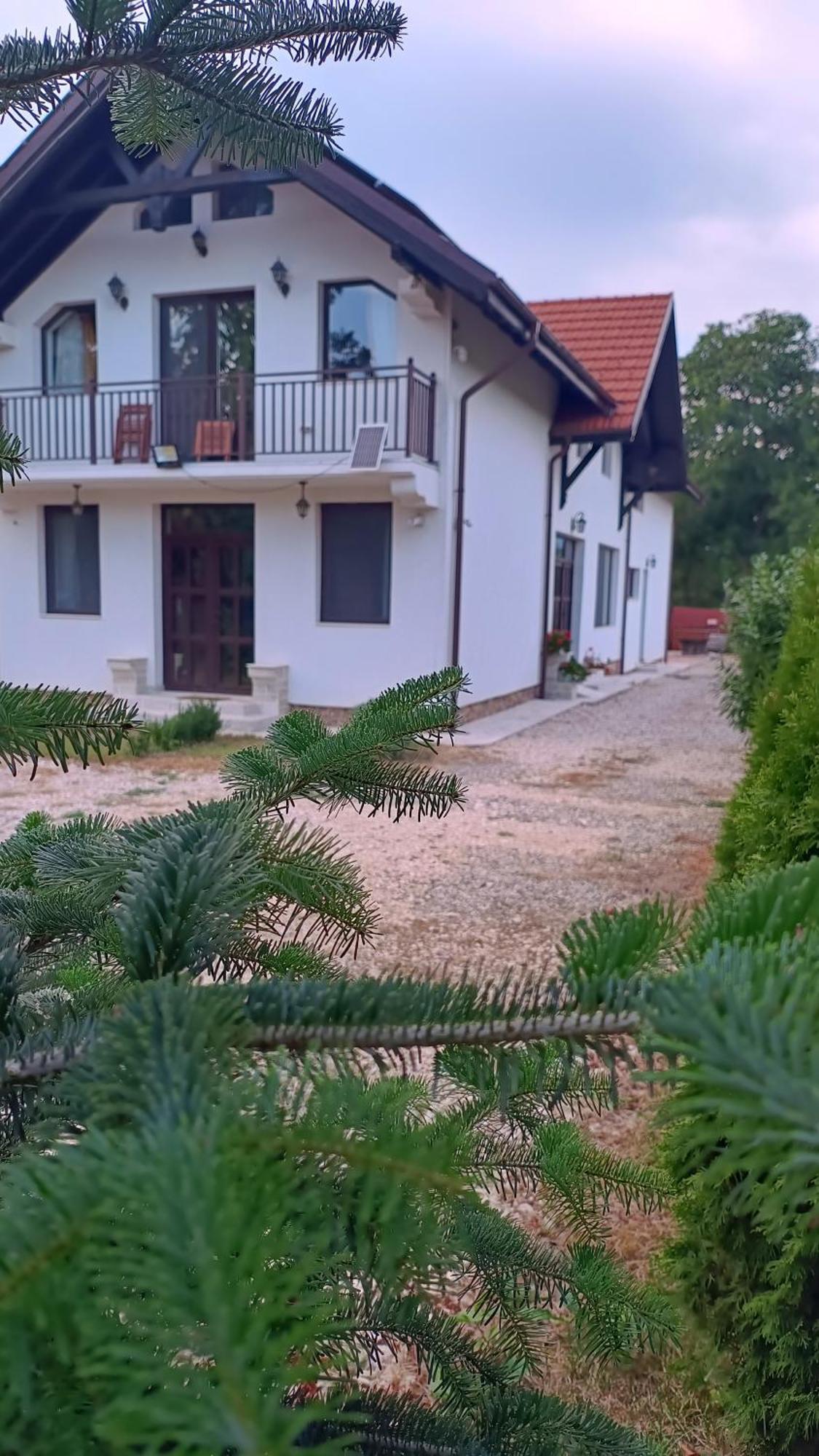 Pensiunea Cretisoara Campulung Exterior foto